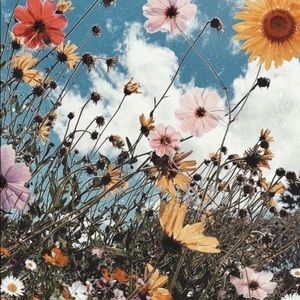 Meet your Posher, Miajoe